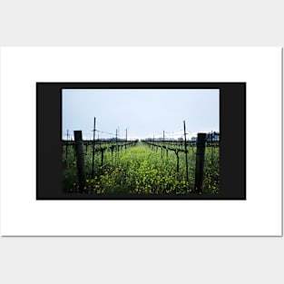 Lush Vineyards Posters and Art